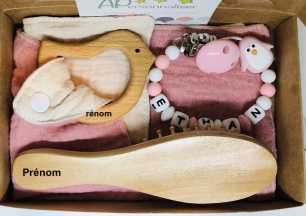 coffret-naissance-bavoir-oiseau-attache-tetine-pingouin-brosse-avec-prenom